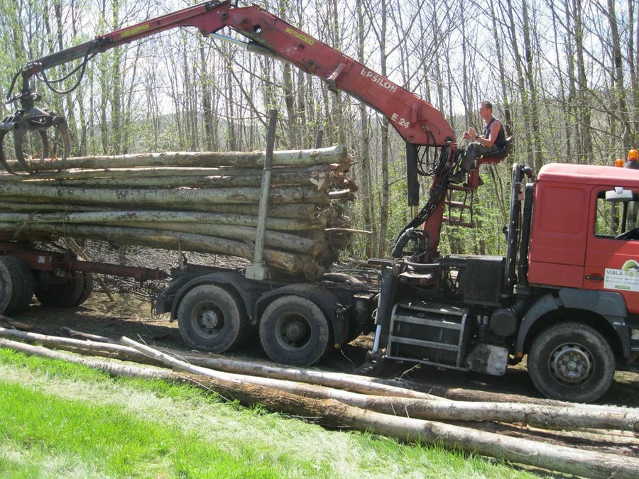 Camion de bois en grume â HĂȘtre, ChĂȘne, Charme â 50 stĂšres