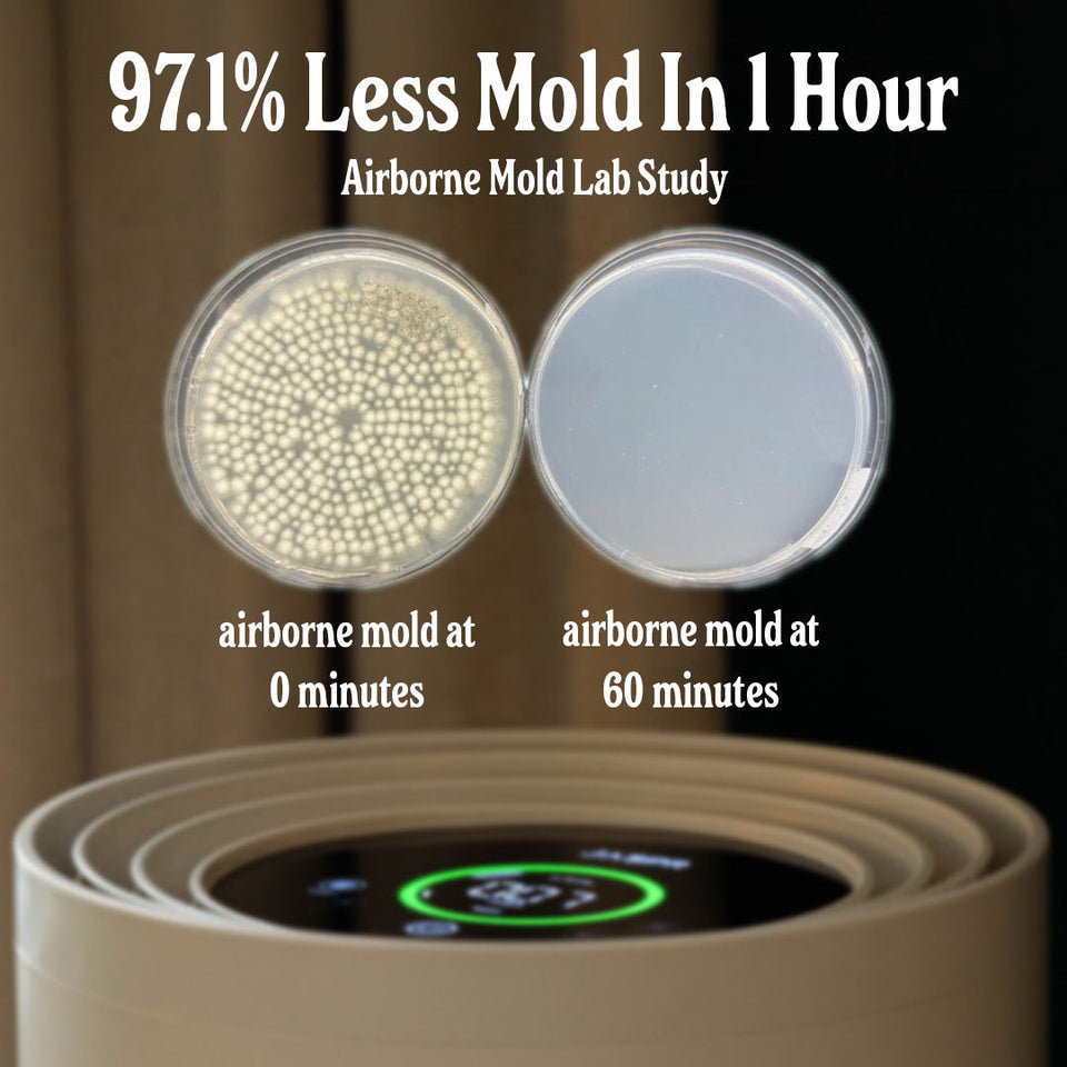 Airclar Air Scrubber