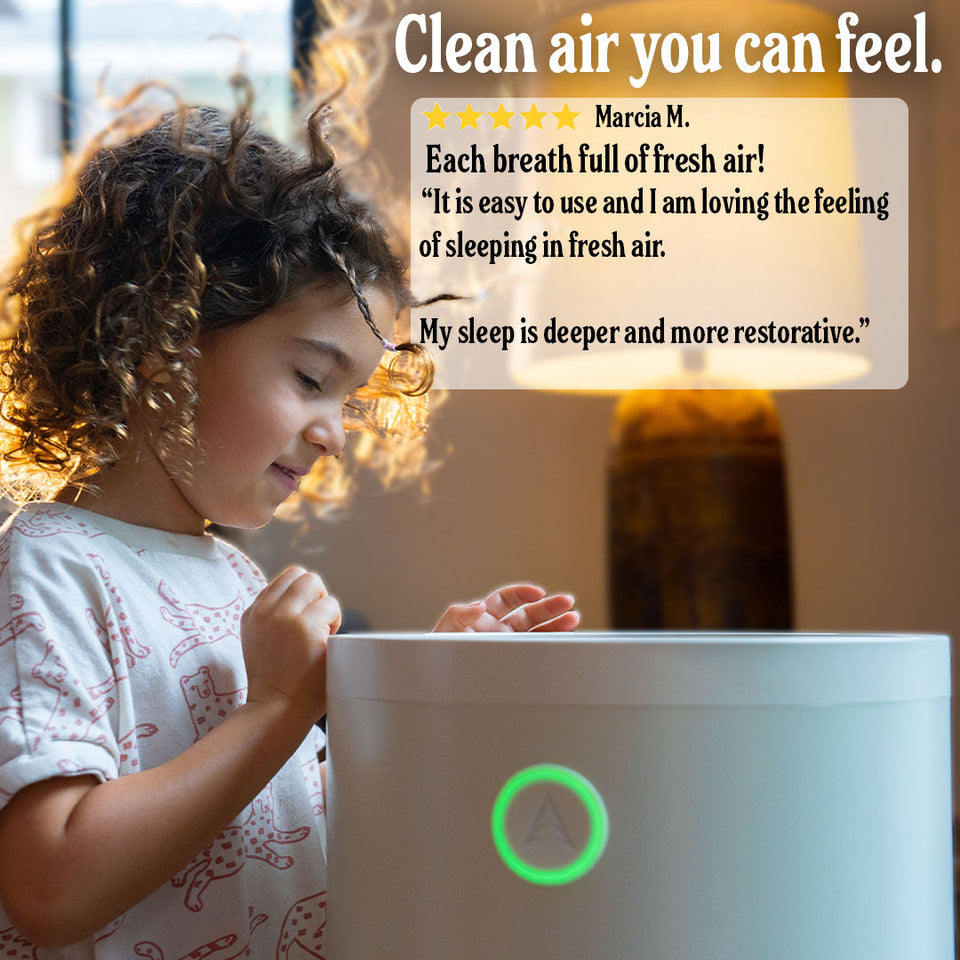 Airclar Air Scrubber