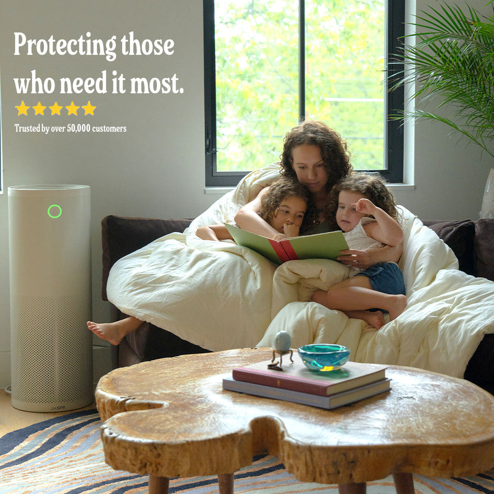 Airclar Air Scrubber